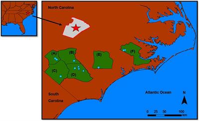 A rapid approach for ecological assessments in Carolina Bay wetlands that were previously converted to agriculture
